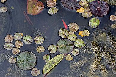 《合金装备3：重制版》更新补丁上线 修复诸多bug！